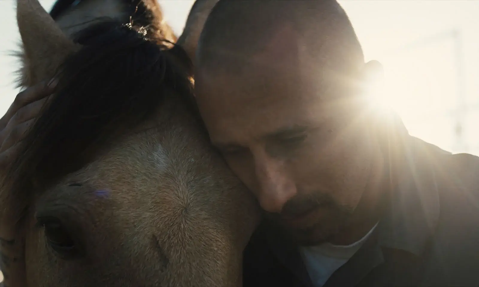 Nevada : un milieu carcéral à cheval